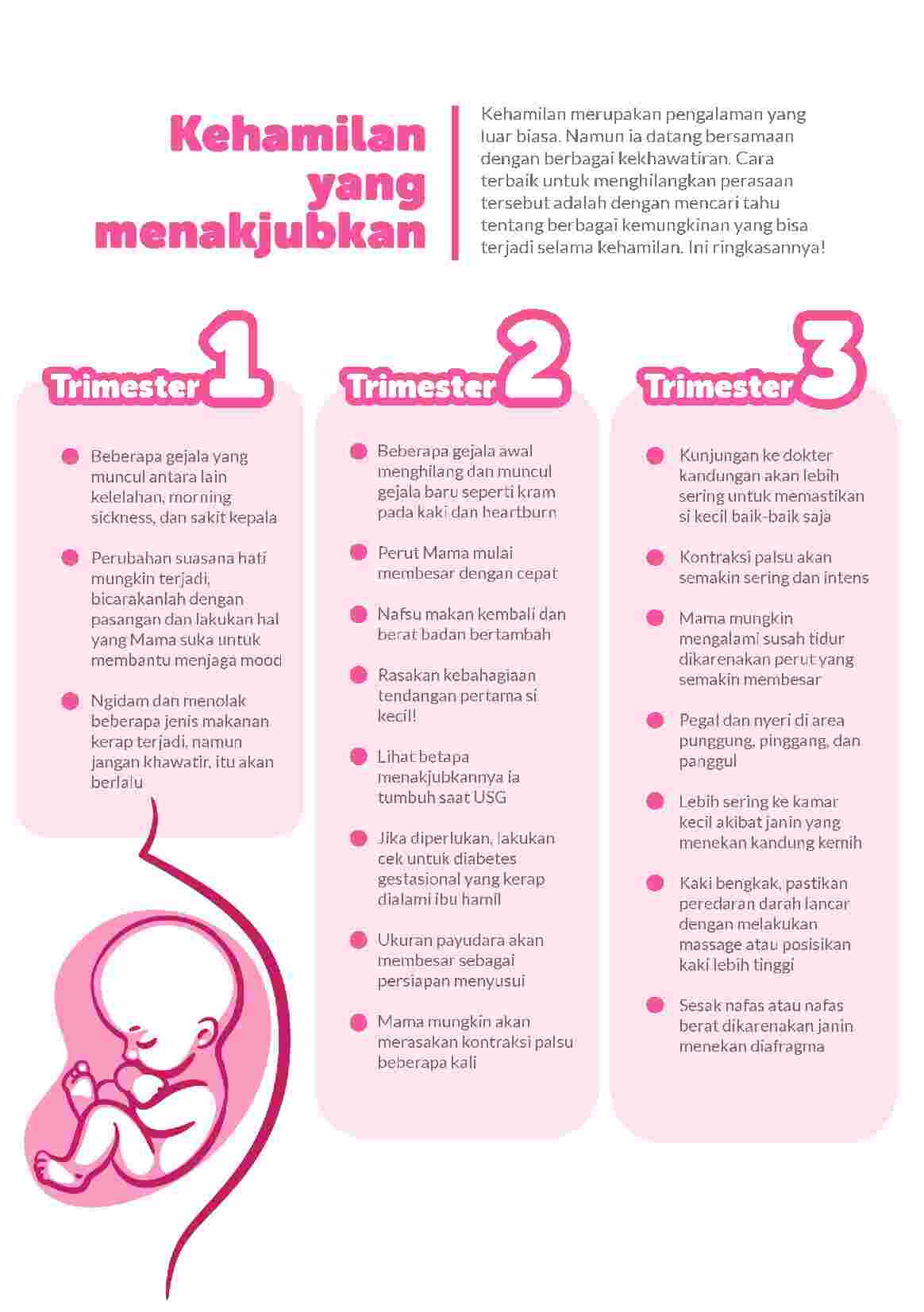 e-book-10-tips-kehamilan-aman-dan-menyenangkan-mamaschoiceid